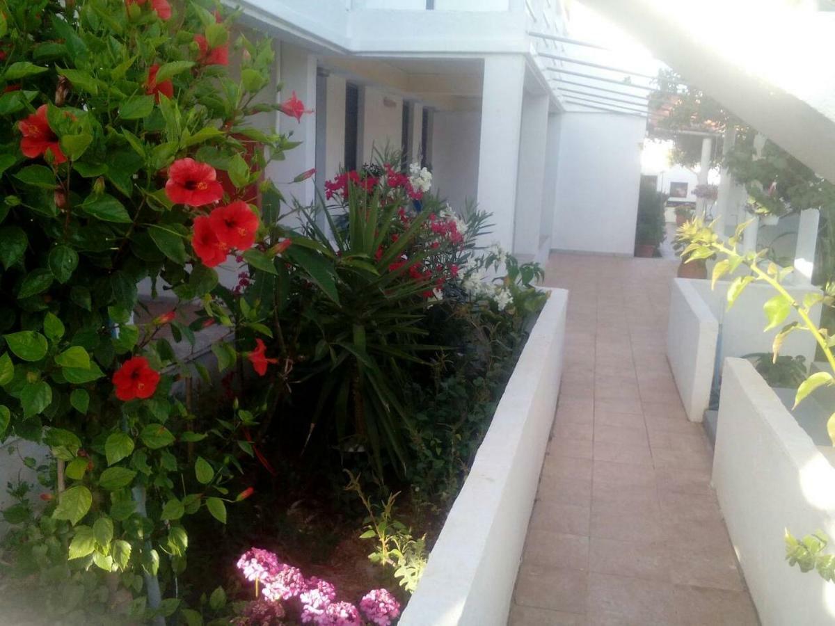 Villas Irene 5 Family Apartments Kokkini Hani Esterno foto