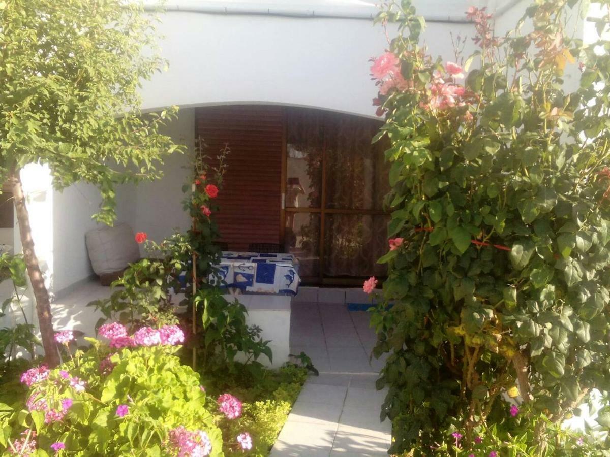 Villas Irene 5 Family Apartments Kokkini Hani Esterno foto